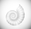 The seashell