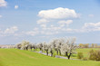 spring landscape with a road, Czech Republic