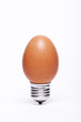 Photo en ligne au meilleur prix Creativity easter egg