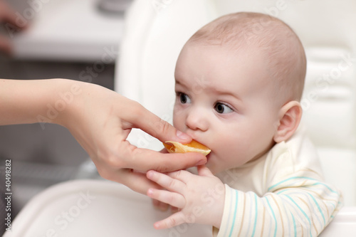 Photo: Baby eating cantle of orange Baby eating cantle of orange