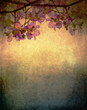 Treetop background