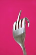 The fork