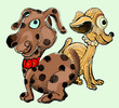 Funny dogs