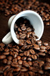 coffee beans in cup coffee beans in cup