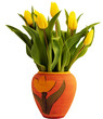 Tulpen gelb