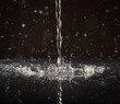 liquid