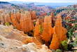 Hoodoos in Bryce Canyon NP, Utah, USA