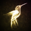 Neon hummingbird, abstract lights vector backgrounds eps10