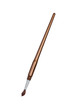 Brush for painting.