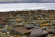 Stony Beach