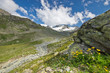 Alpenblick