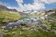 Bergwelt