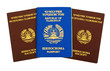 Tajikistan passports