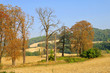 Umbrien Herbst - Umbria autumn 01