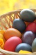 Pâques - Oeufs colorés
