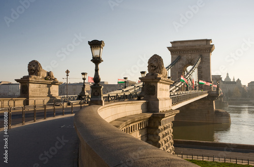 Foto: The Szechenyi Bridge early in the morning. The Szechenyi Bridge early in the morning.