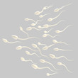 Illustration: Group of spermatozoon isolated Group of spermatozoon isolated