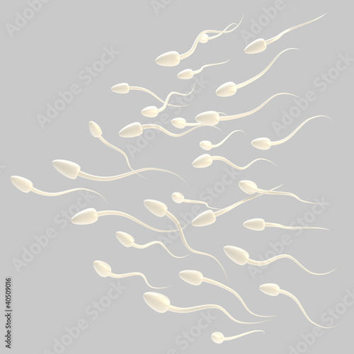 Illustration: Group of spermatozoon isolated Group of spermatozoon isolated
