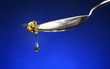 Bee on a spoon with honey