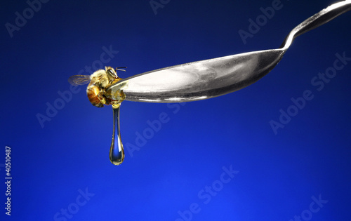 Photo: Bee on a spoon with honey Bee on a spoon with honey