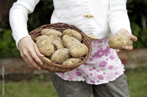 Photo: Girl holding a basket of potatoes Girl holding a basket of potatoes