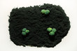 Broccoli on soil