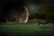 fiction landscape