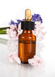 Aromatherapy essential oil