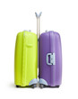 Two big hard suitcases