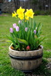 Spring Container Garden
