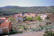 Sauceda en primavera