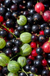 fresh berrys