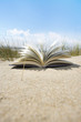 Buch im Sand