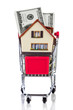 shopping cart and house