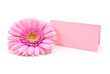 Gerbera mit Notiz blanko