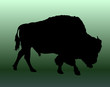 buffalo-bison vector