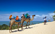 Praia de Genipabu
