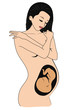 Vector: Beautiful pregnant woman Beautiful pregnant woman