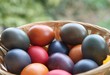 Oeufs colorés