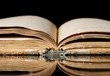 The old books on black