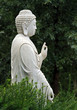 buddha statue