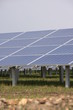 Solarzellen auf einer Wiese