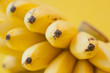 Yellow bananas Yellow bananas