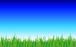 Frühling Wiese Hintergrund Ostern