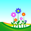 Vector: flower illustration on blue background flower illustration on blue background
