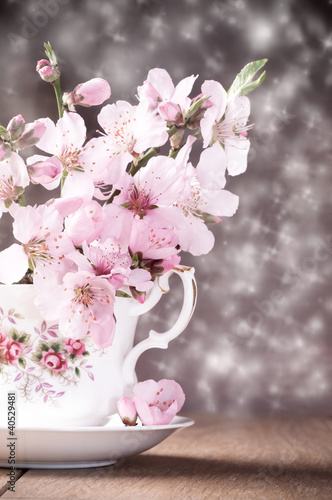 Photo: Spring Blossom Spring Blossom