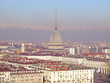 Turin view
