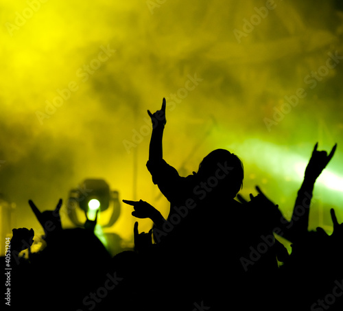 Photo: concert. contour of the fans concert. contour of the fans