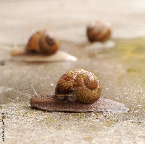 Photo: The race The race