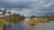 Landscape of Marimetsa bog, Estonia